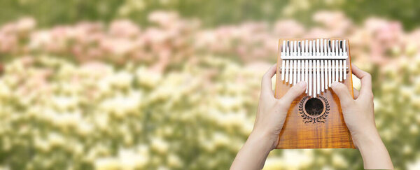 Калимба или Фелира, африканский музыкальный инструмент. Калимба изготовлен из деревянной доски с металлом, играть на руках и щипать пальцами. Озил в саду с множеством цветов.