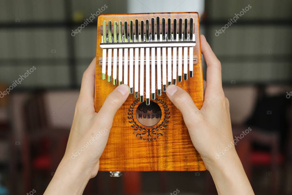 Instrumento mbira 2024