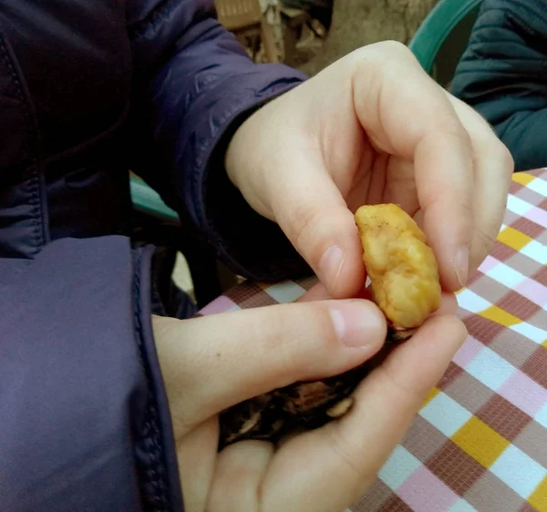 Sokak Sokak Gıda Üzerinde Kızarmış Kestane Kavrulmuş Kestane — Stok fotoğraf