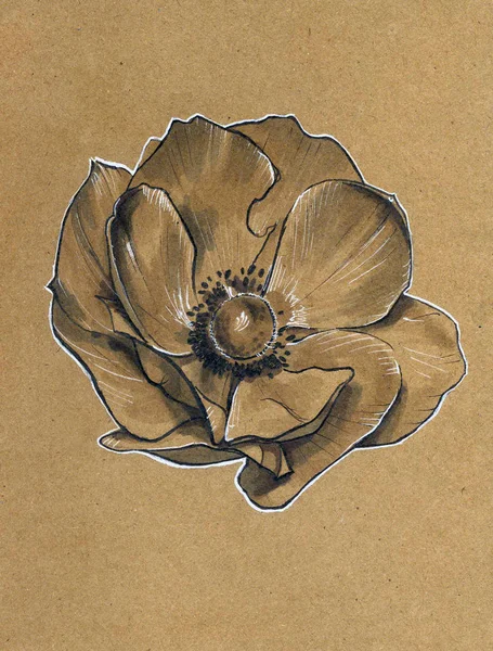 flower illustration graphics black