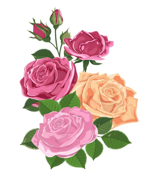 Букет роз изолирован на белом. Розы, почки, листья — стоковый вектор