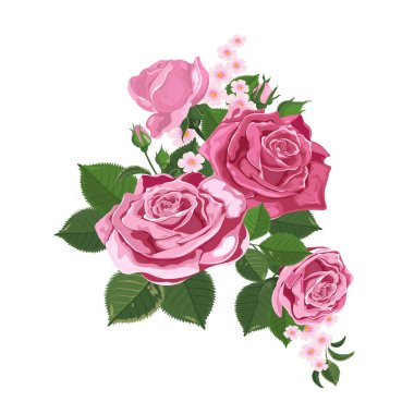 Vektör. Gül buketi. Sulu boya resim. Rose Bud beyaz izole. Gül, tomurcukları, yapraklar ve çiçekler. Düğün, doğum günü, tasarım, davetiye şablon