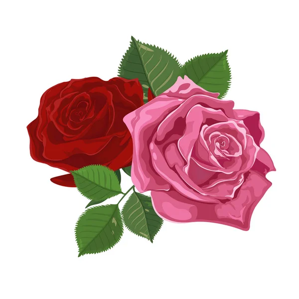 Акварель. Букет из двух цветов. Розы, листья изолированы на белом. Векторный набор цветущих цветов для дизайна. Украшение для свадебных приглашений и поздравительных открыток-вектор . — стоковый вектор
