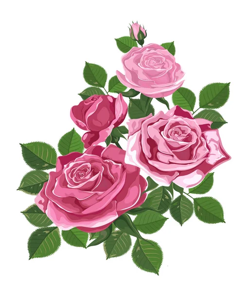 Вектор. Букет з троянд. Акварельна ілюстрація. Троянда Будда ізольована на білому. Троянди, бутони, листя. Весілля, день народження, дизайн, запрошення Шаблон — стоковий вектор