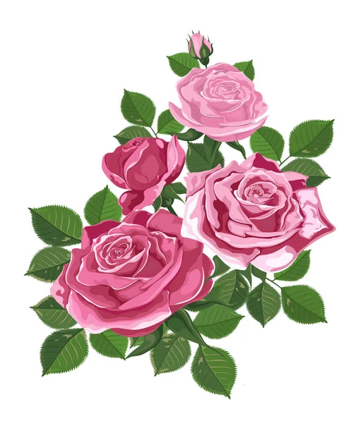 Vektör. Gül buketi. Sulu boya resim. Rose Bud beyaz izole. Gül, tomurcukları, yaprakları. Düğün, doğum günü, tasarım, davetiye şablon
