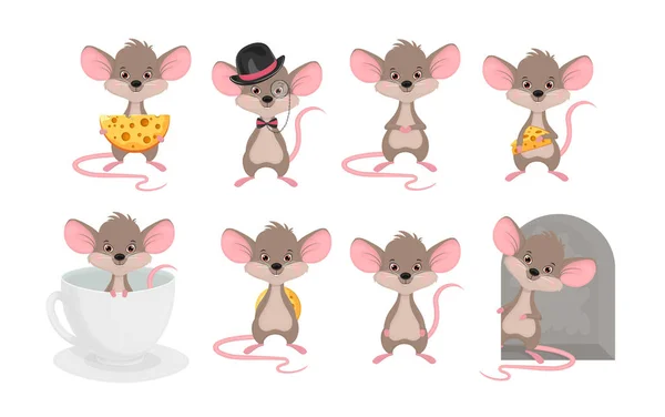 Stel een schattige muis in verschillende situaties. Dieren cartoon karakter rat vector illustratie op witte achtergrond — Stockvector