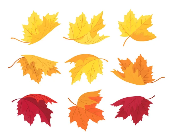 Ensemble de feuilles d'érable d'automne. Fond d'automne vectoriel avec des feuilles de différentes formes — Image vectorielle