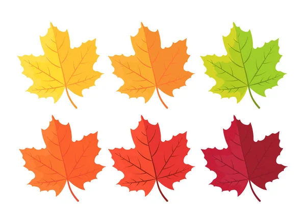 Podzimní pozadí s listy. Javorový list v červené žluté hnědé a zelené — Stockový vektor