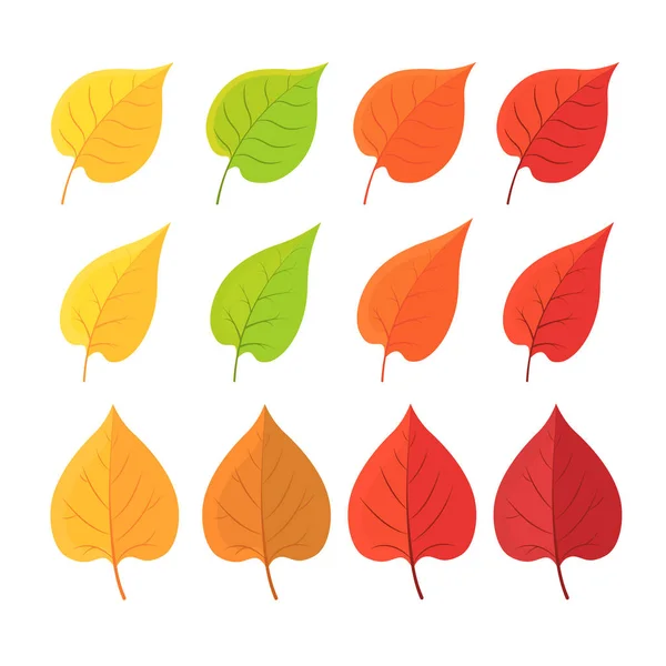 Podzimní volno. Soubor žlutého červeného podzimního listu, suché listí izolované na bílém. — Stockový vektor