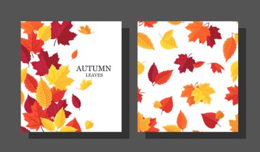 Renkli yaprakların botanik haritası ve beyaz üzerine mevsimsel yazıtlar