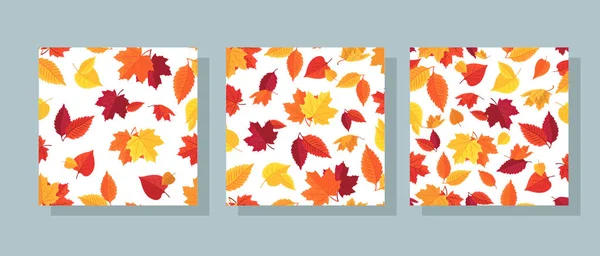Definir fundo sem costura vetorial com folhas de outono coloridas isoladas no fundo branco — Vetor de Stock