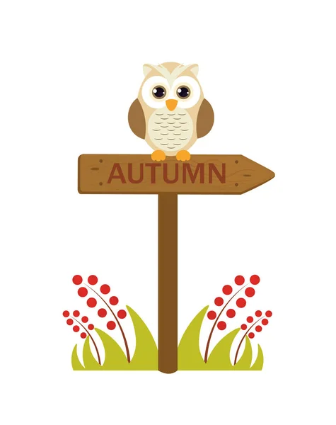 一只可爱的猫头鹰坐在木板标牌上的图片。 带着可爱猫头鹰的秋天标志. — 图库矢量图片