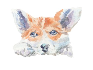 Kırmızı Corgi namlu