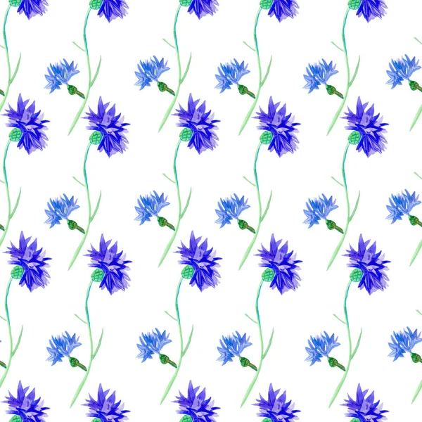 Płynny wzór akwareli niebieskie kwiaty kukurydzy — Zdjęcie stockowe