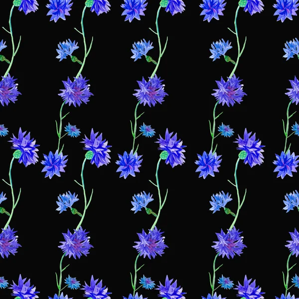 Seamless pattern of watercolor blue cornflowers — Stock Photo, Image