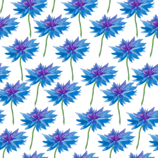 Seamless pattern of watercolor blue cornflowers — Stock Photo, Image