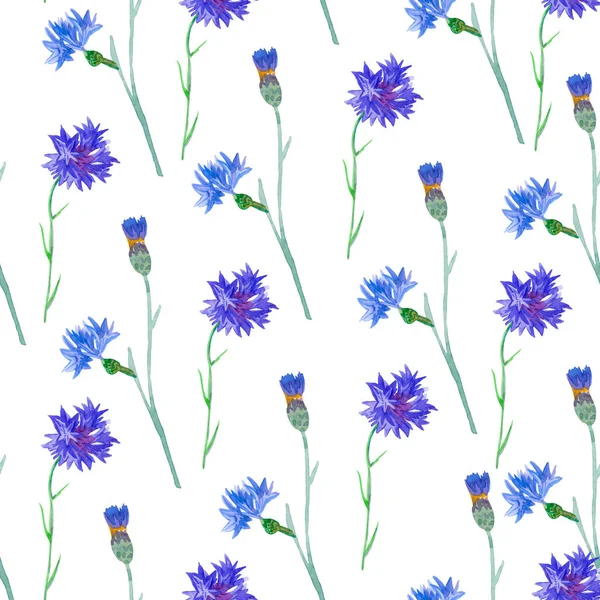 Kusursuz suluboya mavi çiçek deseni