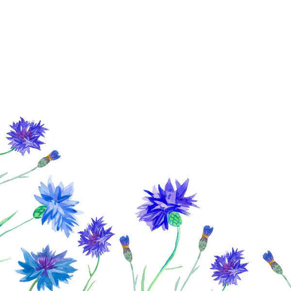 Framework of watercolor blue cornflowers — Stock Photo, Image