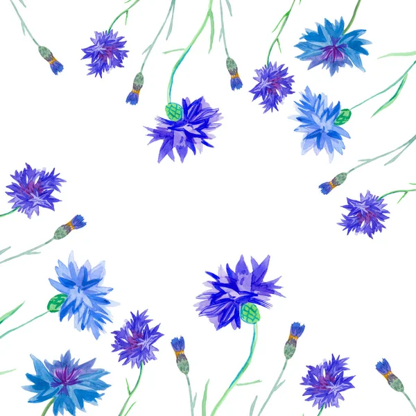 Πλαίσιο υδατογραφίας μπλε άνθη καλαμποκιού — Φωτογραφία Αρχείου
