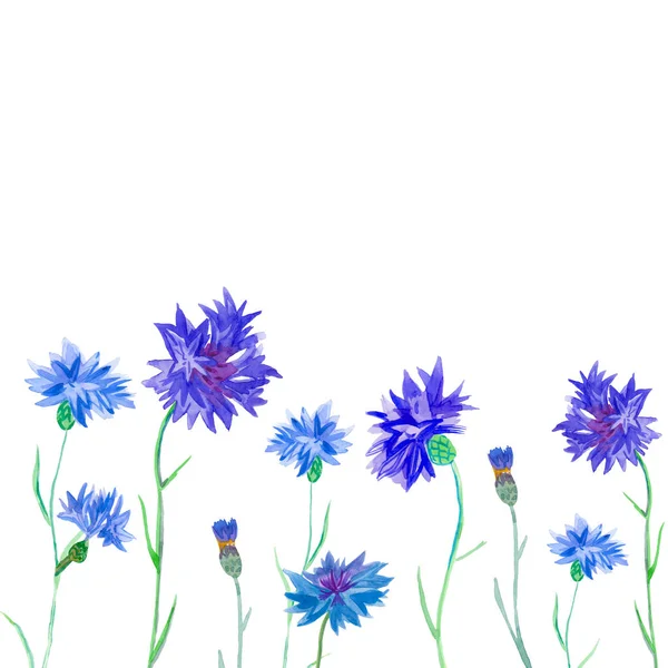 Suluboya mavi çiçek çerçevesi