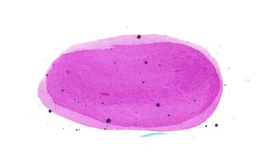 Bright watercolor blot. Yellow, red, green and blue colors.