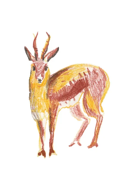 Skica gazelle. Animalistická ilustrace na bílém izolovaném pozadí. Zvířata ručně kreslené voskové pastelky. Design pro knihy, pohlednice, zoo, obaly, plakáty, grafika. — Stock fotografie