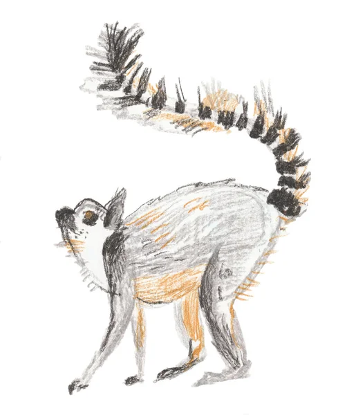 Skica lemur. Animalistická ilustrace na bílém izolovaném pozadí. Zvířata ručně kreslené voskové pastelky. Design pro knihy, pohlednice, zoo, obaly, plakáty, grafika. — Stock fotografie