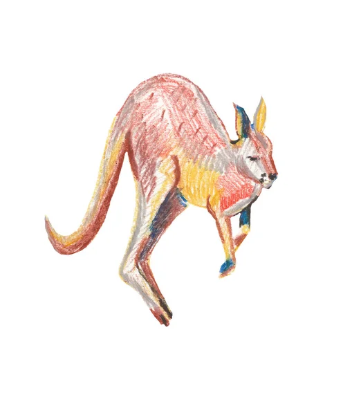 Skiss känguru. Djur illustration på en vit isolerad bakgrund. Djur handritade vaxkritor. Design för bok, vykort, zoo, förpackning, affisch, grafik. — Stockfoto