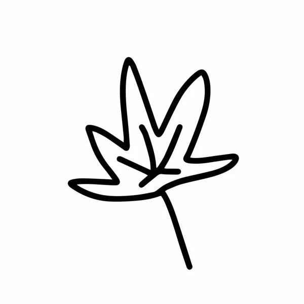 Vector Maple Leaf Scandanavian Styes Doodle Leave Sketch Line Illustration — 스톡 벡터