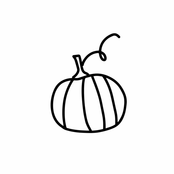 Vektor Höst Pumpkin Doodle Pumpa Skiss Linje Illustration Scandinavian Stil — Stock vektor