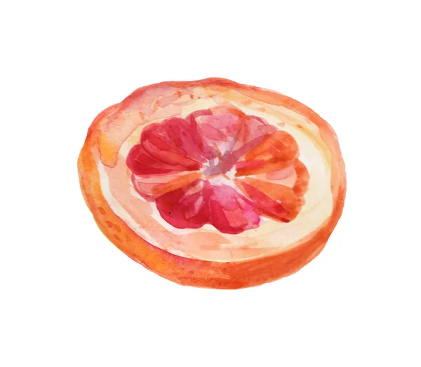 Acuarela dibujada a mano de pomelos rosados. Foo ecológico natural aislado —  Fotos de Stock