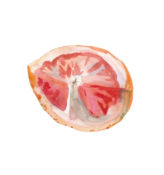 Aquarell handgezeichnete rosa Grapefruits. isoliert eco natural foo — Stockfoto