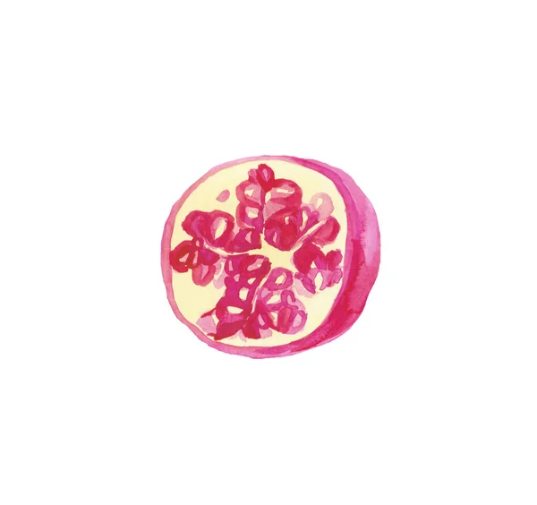 손으로 그린 석류 색깔 삽화. 분홍색 과일을 넣고 — 스톡 사진