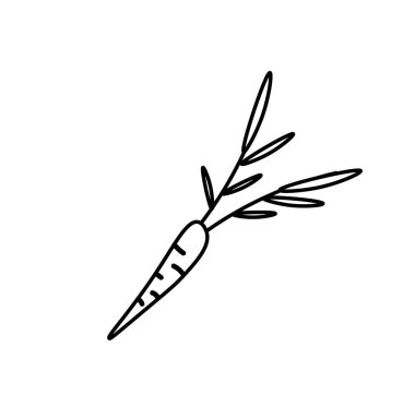 Siyah çizgili vektör havucu. Beyaz izole edilmiş arka plan çiziminde karalama tarzında basit yemek ve pişirme çizimi. Sosyal ağlar, web, reklamcılık, pankartlar, menüler, tarifler için tasarım.