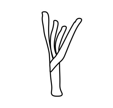 Siyah çizgili vektör pırasası. Beyaz izole bir arka plan çizimi üzerine karalama tarzında basit yemek ve pişirme çizimi. Sosyal ağlar, web, reklamcılık, pankartlar, menüler, tarifler için tasarım.