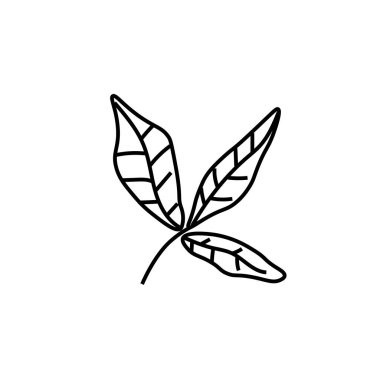 Fesleğen siyah çizginin vektör yaprakları. Beyaz arka planda çizilmiş karalama tarzında basit yemek ve yemek çizimi. Sosyal ağlar, web, reklamcılık, afişler, menüler, tarifler için tasarım.