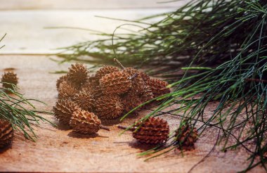 Çam kozalakları ve çam yaprakları ahşap zeminler, kopya alanı, arka plan üzerinde.