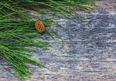 Çam kozalakları ve çam yaprakları ahşap zeminler, kopya alanı, arka plan üzerinde.