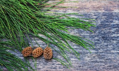 Çam kozalakları ve çam yaprakları ahşap zeminler, kopya alanı, arka plan üzerinde.