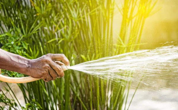 Persone Che Trasportano Tubo Dell Acqua — Foto Stock