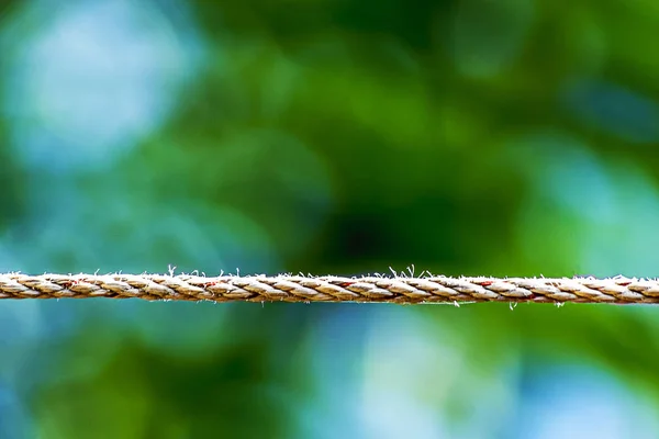Beyaz sarmal ip ve bokeh doğa arkaplanı.