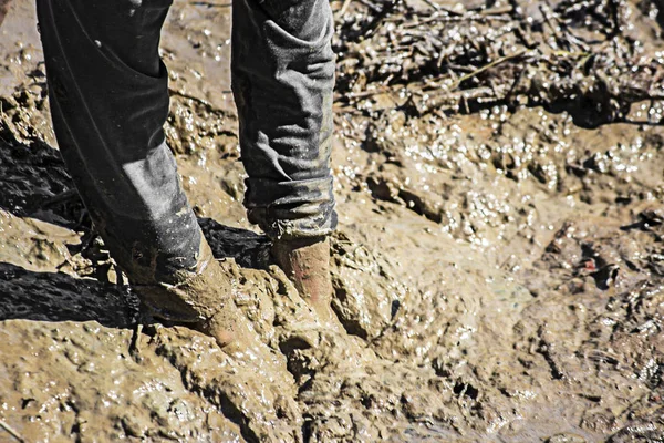 People in the mud catch fish.