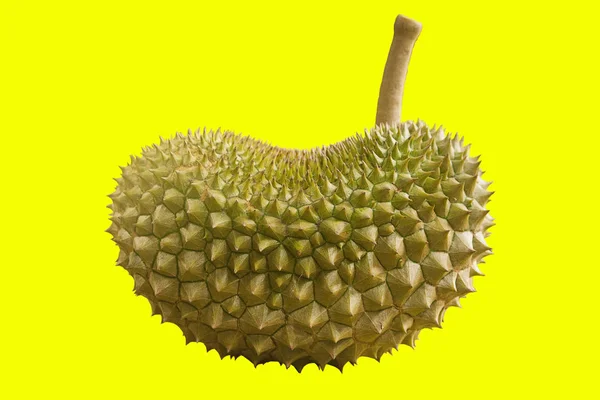 Durian Auf Gelbem Hintergrund — Stockfoto