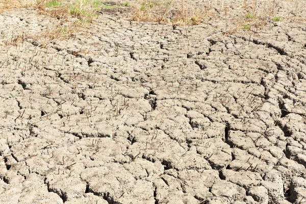 破碎的地球背景纹理 背景不良生态学概念的抽象纹理 — 图库照片