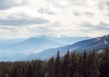 Mavi gökyüzü ve kar dağ bahar mevsimi ile yeşil çimen
