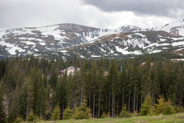 Mavi gökyüzü ve kar dağ bahar mevsimi ile yeşil çimen