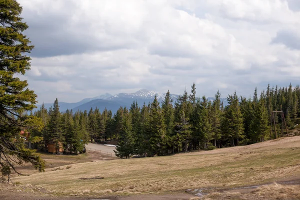カルパティア山脈ウクライナ Dragobrat 水平画像山の風景します — ストック写真