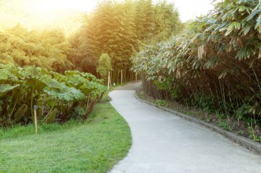 Park güzel dar sokakta. Tasarım konsepti Peyzaj Bahçe