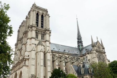 Fransa. Cathedrale Notre Dame de Paris Paris 01 Haziran 2018 turistler olduğunu Cite adanın doğu yarısında en ünlü katedral 1163-1345