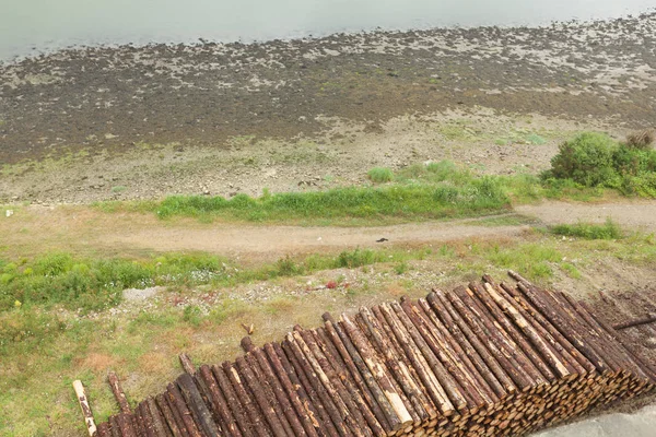 Çam Ormanları Ormandaki Ahşap Günlükleri Bir Yığın Yığın Taze Doğranmış — Stok fotoğraf